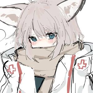 企业主机小狐导航
