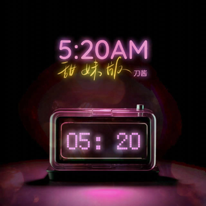 企业主机小狐导航
